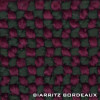 Biarritz Bordeaux