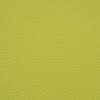 Montana Lime